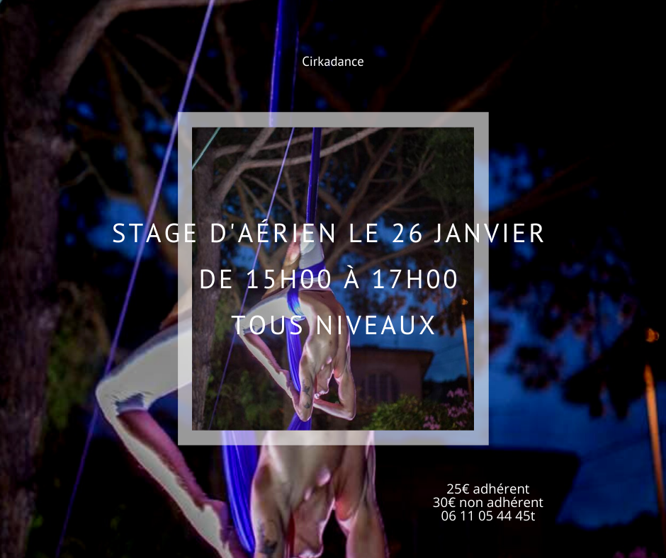 stage aerien 26 janvier